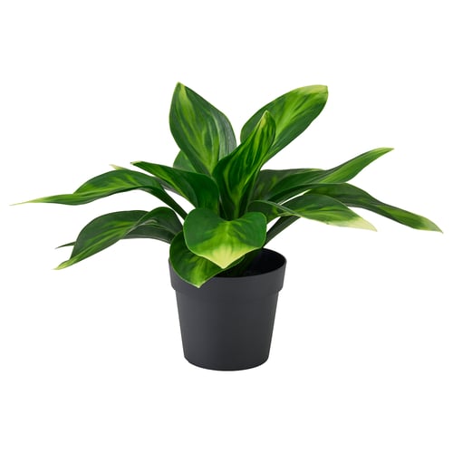 FEJKA: bujna umjetna zelena biljka s velikim lišćem, u saksiji u tamno sivoj boji za unutarnje uređenje. Ekološki prihvatljiv s recikliranim materijalima.