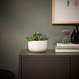 Mali bijeli SUCCULENT u loncu na konzolnom stolu s knjigama, vazom i pješčanim satom.