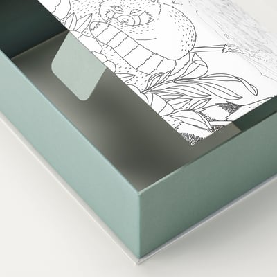 Green cardboard box with cutout handle, featuring black line drawing of a koala on the lid.