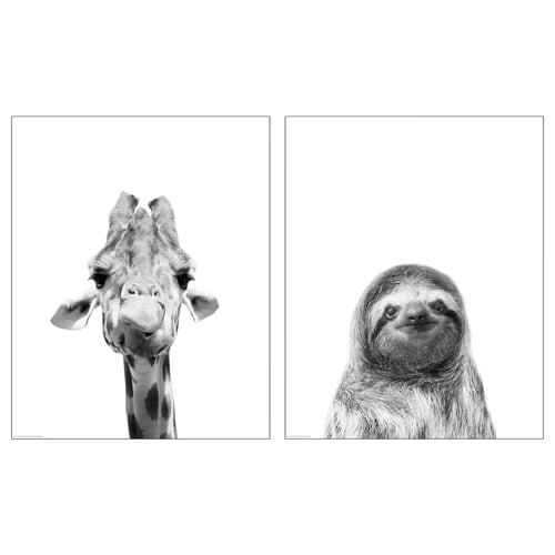 Two black & white posters: giraffe & sloth faces.