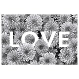 Black and white flower canvas art with love text.