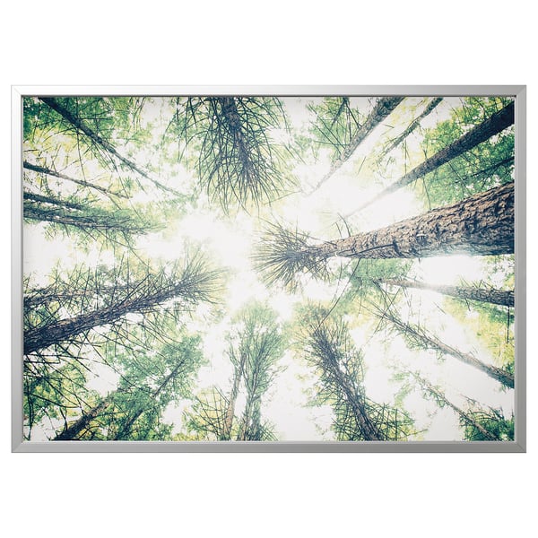 BJÖRKSTA Picture with frame, look up/aluminium-colour, 140x100 cm
