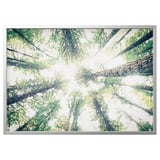 BJÖRKSTA Picture with frame, look up/aluminium-colour, 140x100 cm