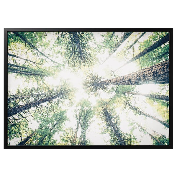 BJÖRKSTA framed artwork, green hues, tree tops, modern nature scene.