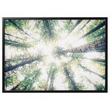 BJÖRKSTA framed artwork, green hues, tree tops, modern nature scene.