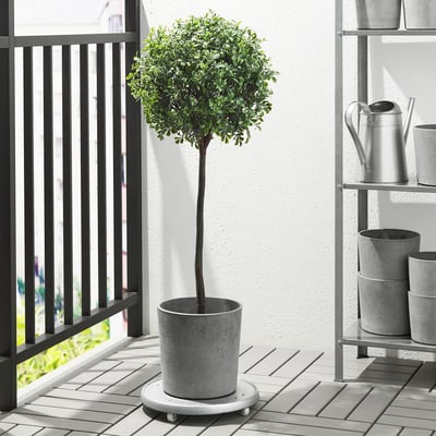 Patio with potted tree, mat, watering can.