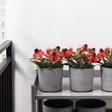 Concrete plant pots with vibrant flowers arranged on a metal shelf, suitable for both indoor and outdoor use.