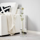 Tall clear CYLINDER vase with single long-stemmed plant beside white armchair.