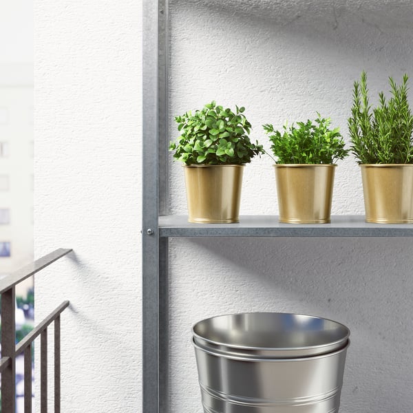 Three brass pots on a shelf hold various green plants, adding life to a small space. Below, a silver planter enhances the urban garden theme.
