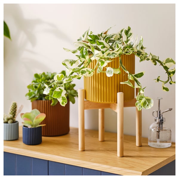 A wooden table displays stylish, colorful pots with lush plants, enhancing home decor with green, vibrant life.
