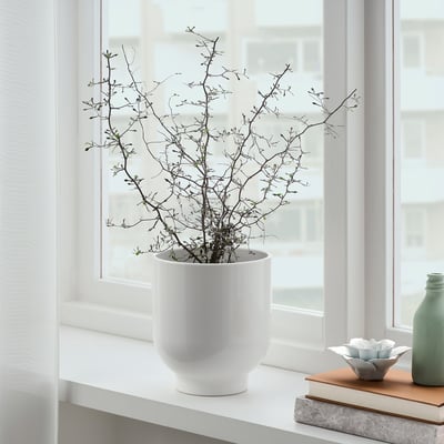 Window sill display: white vase holds branches, beside small green vase and decorative bowl on books.