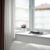 Window sill with pink flowers, magazines, curtains, couch.
