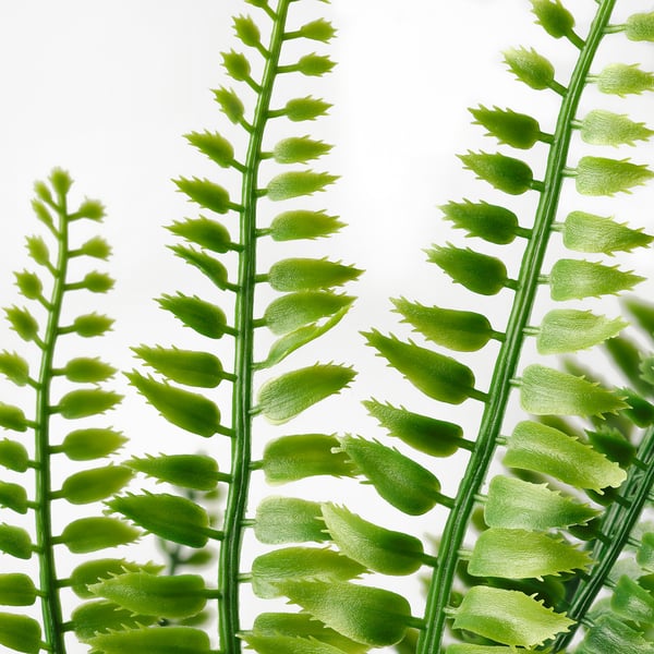 Close-up of vibrant green fern fronds, lifelike and detailed, perfect for indoor decor.