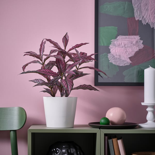 Artificial plant on green shelf, purple-pink leaves.
