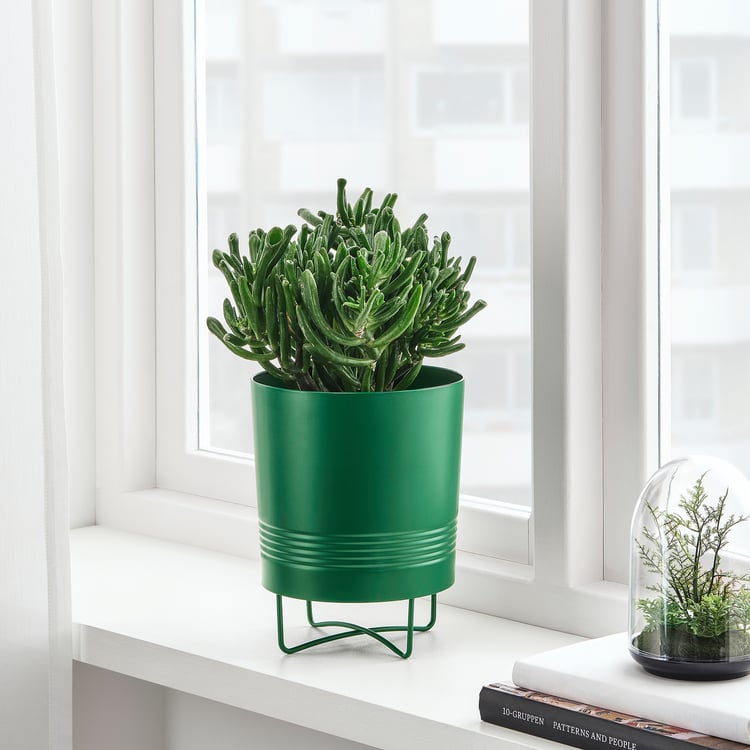 Summer Flowers Vases Plant Pots IKEA Ireland