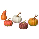 Five colorful pumpkins in red, orange, white, and maroon with twisted stems on a white background, decorative seasonal items.