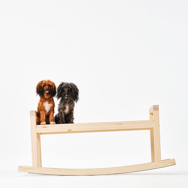 Two small dogs sit on a wooden rocking bench, enjoying a gentle sway.