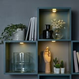 Shelf with plants, books, vases, and integrated led spotlights. Each compartment is illuminated, highlighting decor and reading materials.