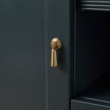 Modern dark cabinet with gold handle showcasing quality hardware and sleek design.