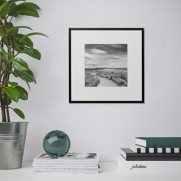 Framed black-and-white photo near green plant and stacked magazines.
