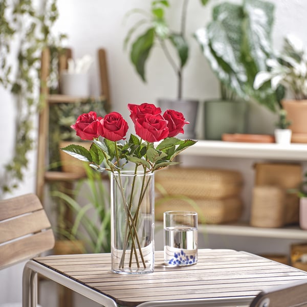 Vase with three red roses, surrounded by greenery on a wooden table. SMYCKA roses made from recycled plastic are larger than nearby cup.