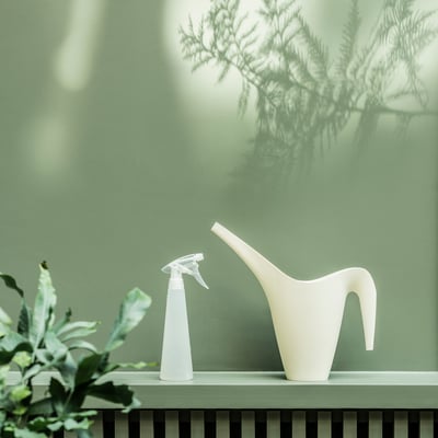 White can & spray bottle on shelf, plant, branch shadow.