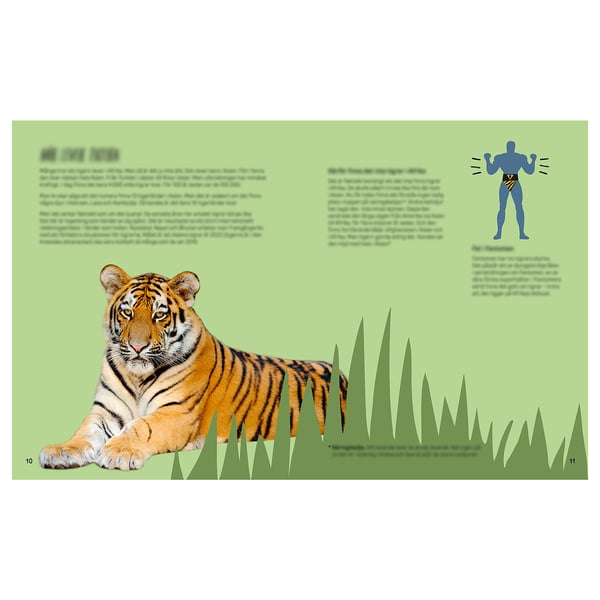 URSKOG Book, Meet the tiger