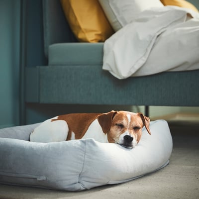 The UTSÅDD pet bed is a light gray, rectangular-shaped, cushioned bed designed for comfort with raised edges and a soft texture.