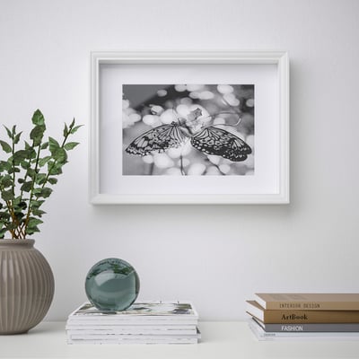 A framed butterfly photo hangs on a wall with books and a plant below. Versatile frame.