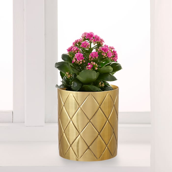 Vases Decorative Bowls IKEA Ireland