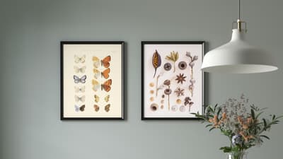 Posters