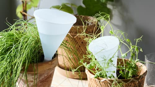 Self watering plant pots