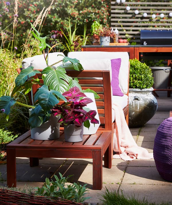 ต้นไม้ต่างขนาดและสีสันอยู่บนเทอเรซ มีเฟอร์นิเจอร์กลางแจ้งและสวนเป็นฉากหลัง