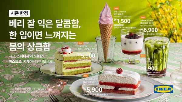 베리 잘익은 달콤함 상세 버전