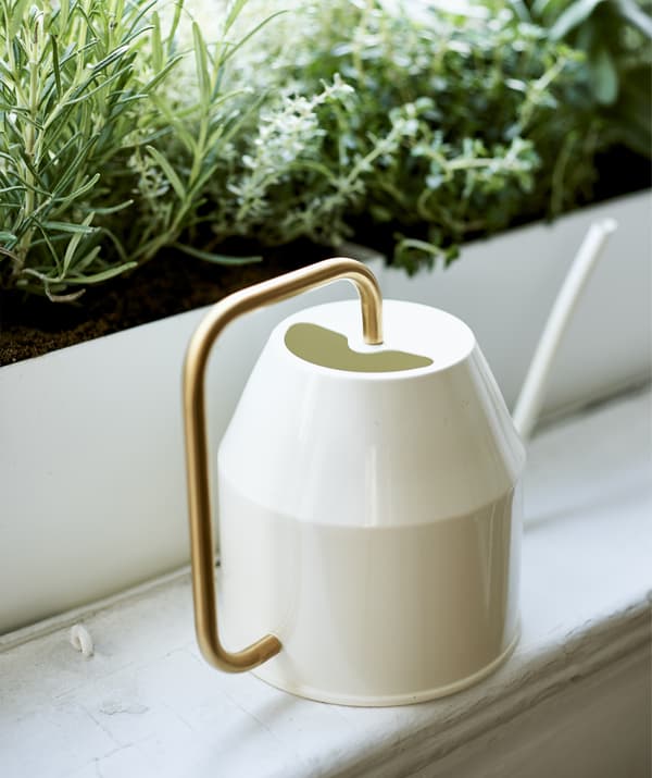 ภาพโคลสอัพของบัวรดน้ำสีครีมและสีทองบนขอบหน้าต่าง