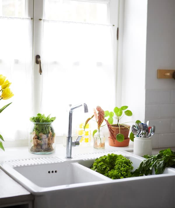 อ่างซิงก์คู่สีขาวขนาดใหญ่ด้านหน้าของหน้าต่างที่วางต้นไม้