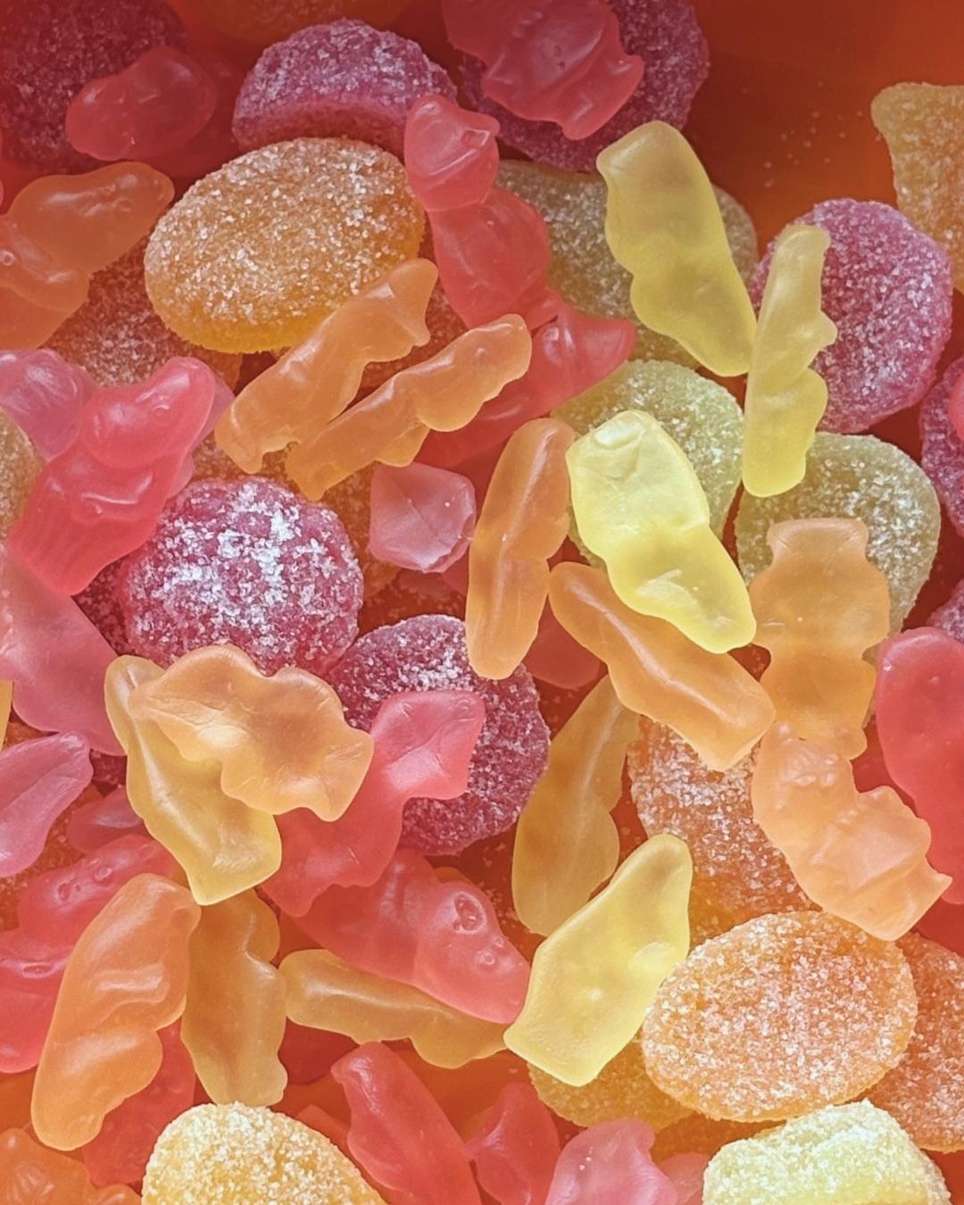 비건 젤리 이미지