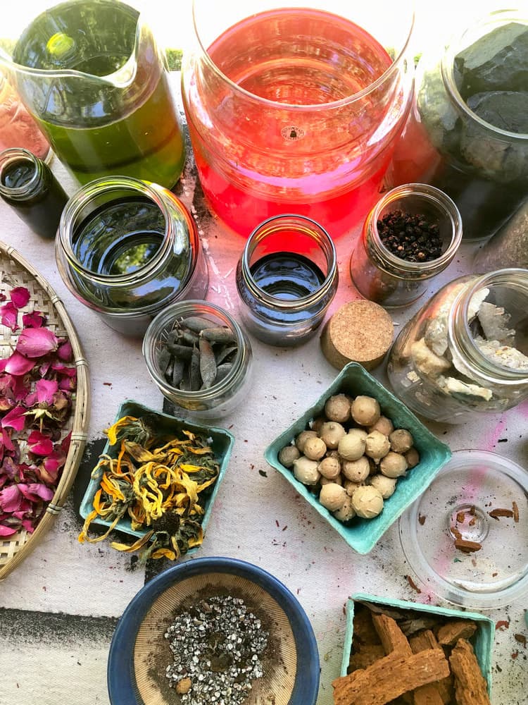 שולחן כפי שנראה מלמעלה, מלא במיכלים עם חומרים טבעיים להכנת פיגמנט צבע; כגון פטריות צהובות, פרחים ורודים, אוכמניות, סלעים חומים ואצות ירוקות.