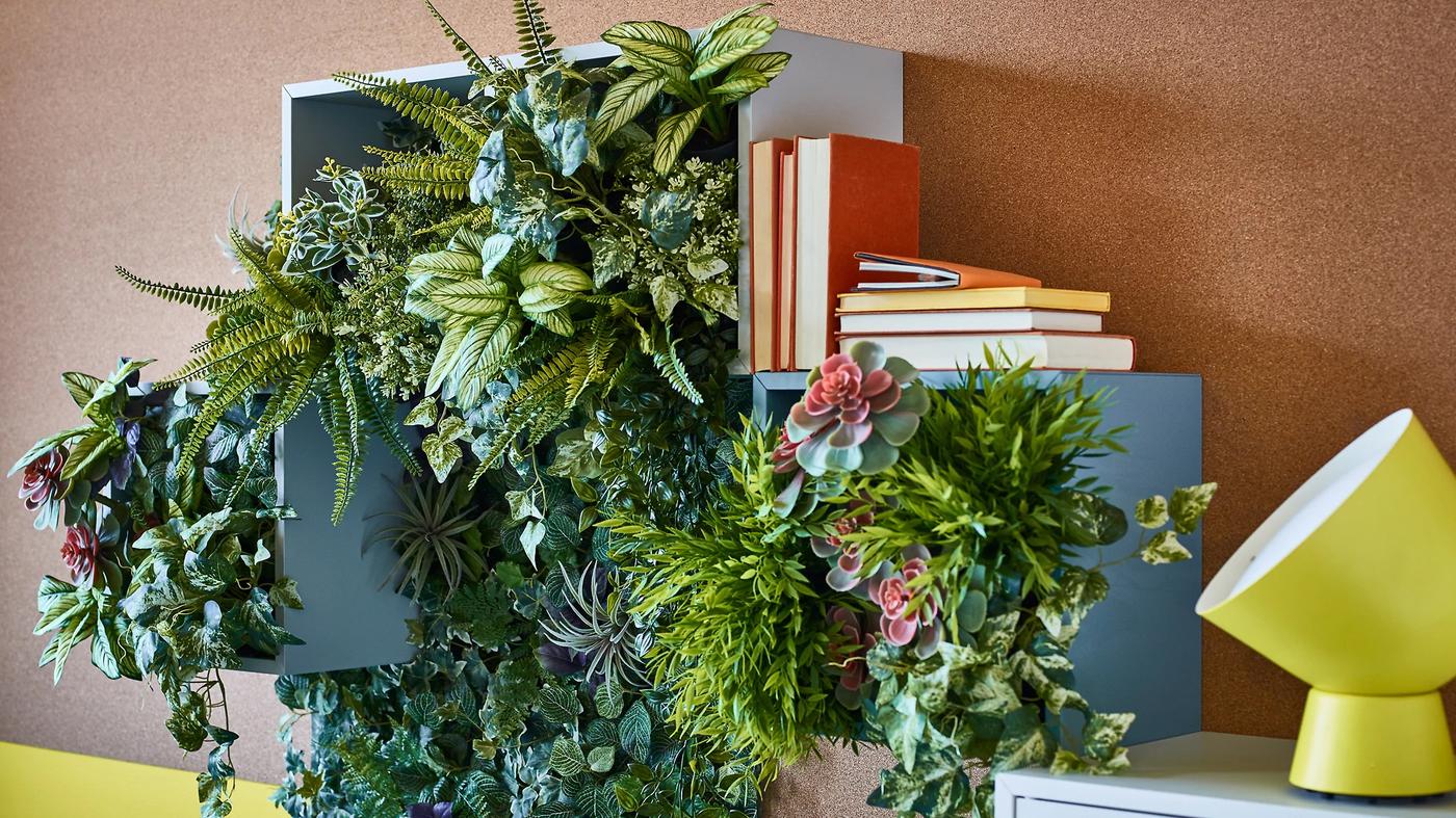 Cuidados para plantas interior - Consejos y trucos - IKEA