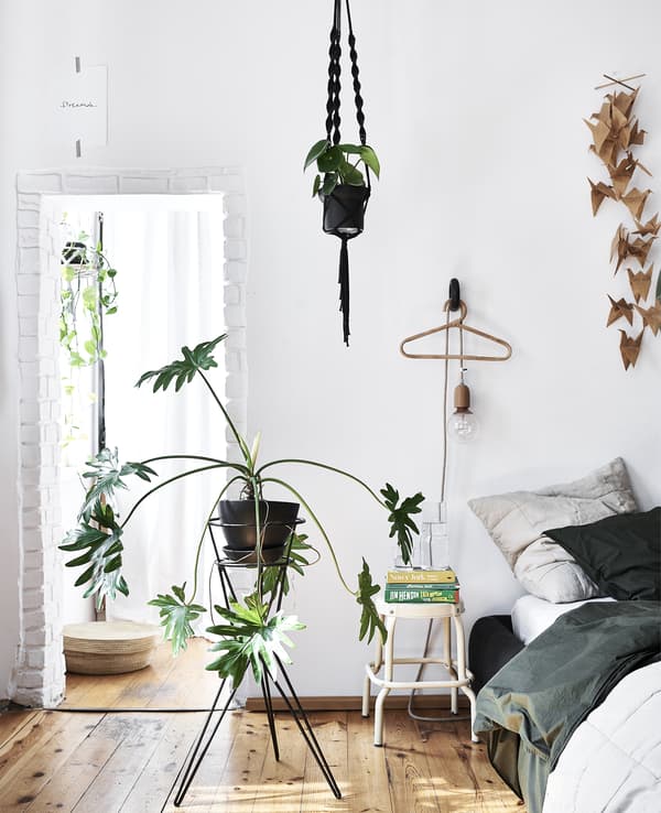 ห้องนอนสีขาวพื้นไม้ และต้นไม้ขนาดใหญ่บนขาตั้ง
