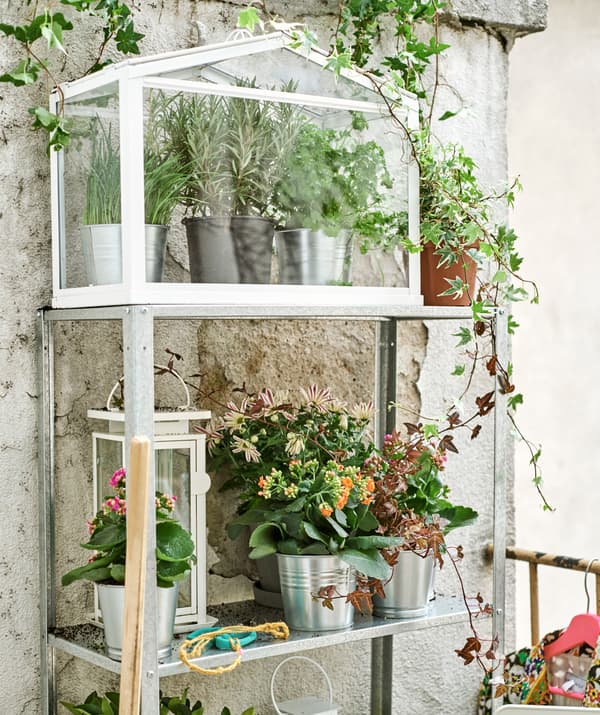 ชั้นวางทำจากเหล็กอยู่ตรงผนังเก่า ดอกไม้อยู่ในกระถางเหล็ก ตะเกียงสีขาวขนาดใหญ่ และเรือนกระจกขนาดเล็กมีต้นไม้อยู่ข้างใน