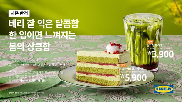 초록초록한 피스타치오 딸기케이크 사진