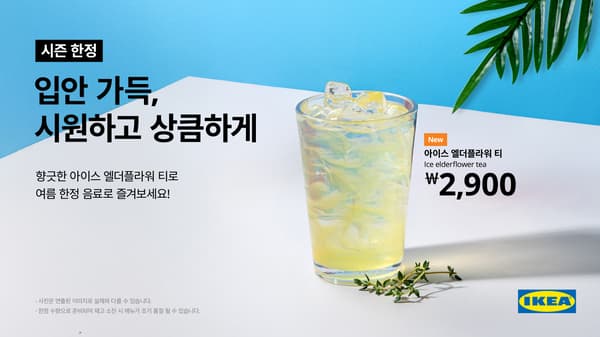 엘더플라워 티