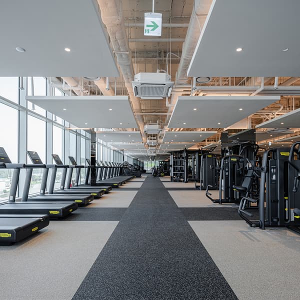 초이스바이반트