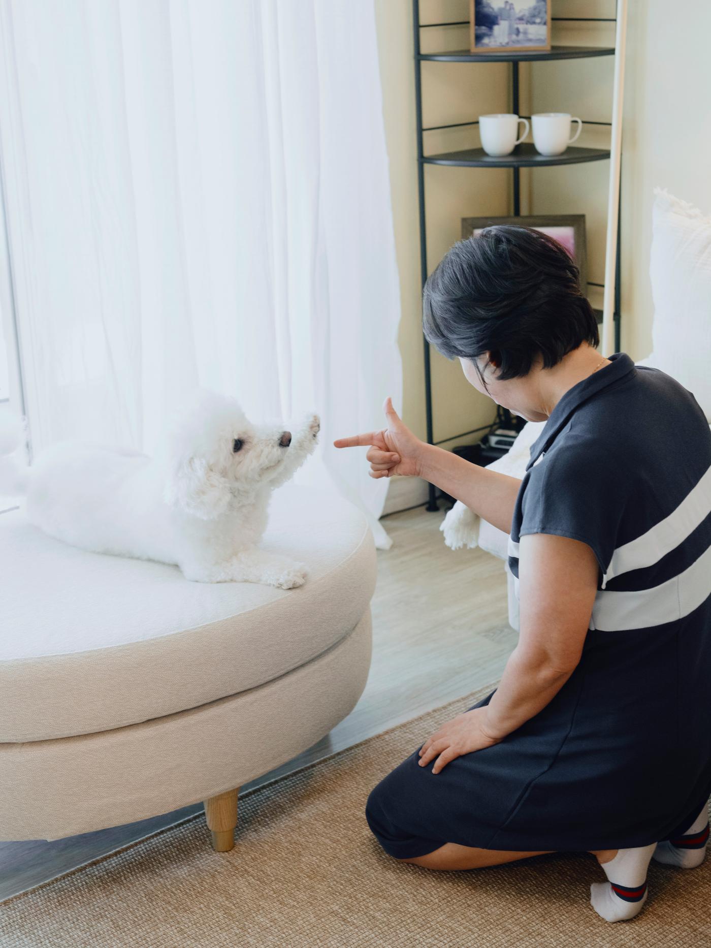 강아지와 놀고 있는 여자의 이미지