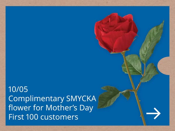 10 May: A rose for Mother’s Day