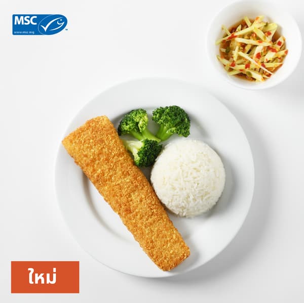 ข้าวปลาทอดยำมะม่วง​
ราคา 149 บาท