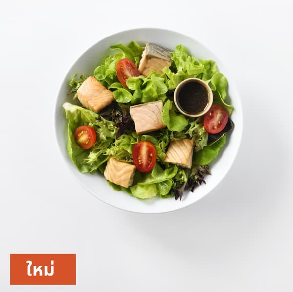 สลัดแซลมอน
ราคา 199 บาท