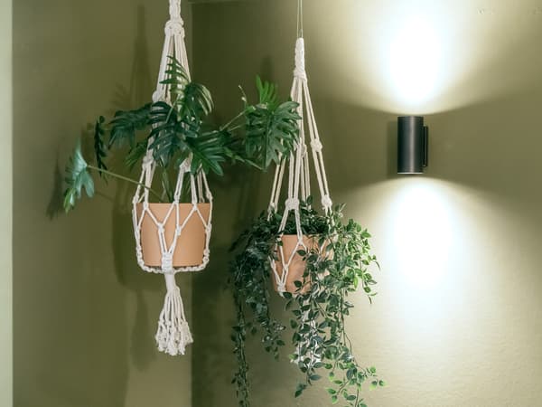 2 plantas em floreiras suspensas em macramé feito à mão.