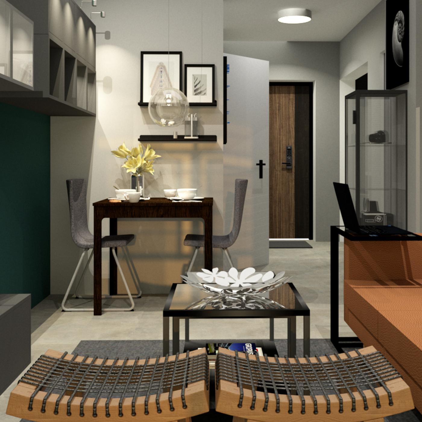 2-room Modern Contemporary